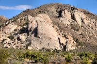 Ryan Mts., Joshua Tree NP