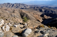 Z Keys view, Joshua Tree NP