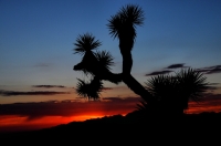 Keys view - sunset.