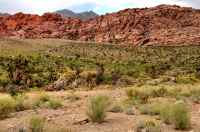 Red Rock Canyon, Nevada