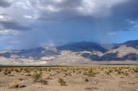 Rain in the desert