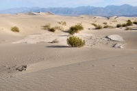 Mesquite Flat Sand Dunes, Death Valley