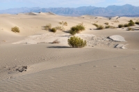 Mesquite Flat Sand Dunes, Death Valley