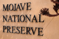 Návrat do Mojave National Preserve