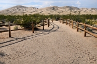 Kelso Dunes, Mojave National Preserve