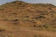Desert, Novbur