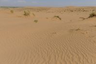 Poušť, Dzharkurgan