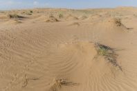 Desert, Dzharkurgan