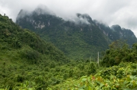 Phong Nha-Ke Bang NP