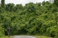 Phong Nha-Ke Bang NP