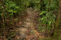 NP Phong Nha-Ke Bang