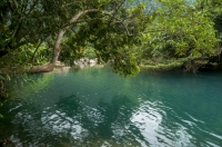 Phong Nha-Ke Bang NP