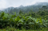 Phong Nha-Ke Bang NP