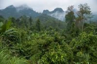 Phong Nha-Ke Bang NP