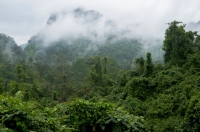 Phong Nha-Ke Bang NP