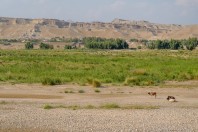 Nangarhar