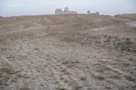 Qargha