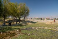 Saiad