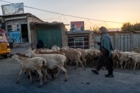 Saiad, Kapisa