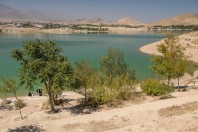 Qargha
