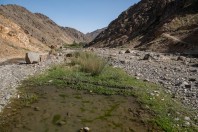 Paghman