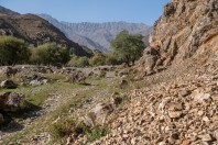 Paghman