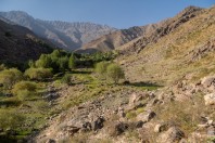 Paghman