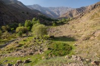 Paghman