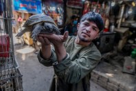 Kabul
