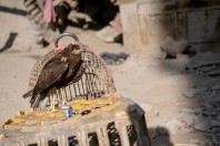 Kabul