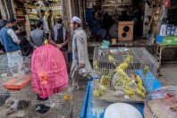 Kabul