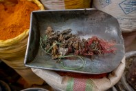 Dry toads, Kabul