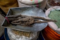 Dry snakes, Kabul