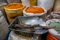 Dry snakes, Kabul