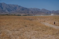 Wardak