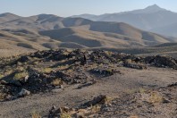 Wardak