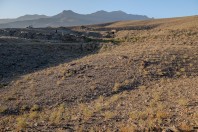 Wardak