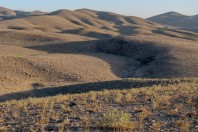 Wardak