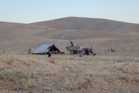 Wardak