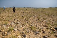 Nangarhar
