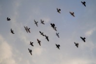 Kabul