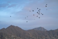 Kabul