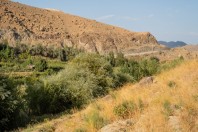 Gul Bagh