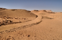 Dakhla Oasis