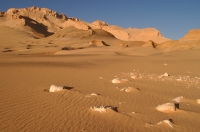 Desert, Dakhla Oasis