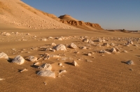 Desert, Dakhla Oasis
