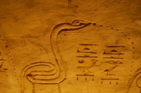 Spitting Cobra - Valley of the Kings, Luxor