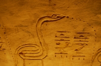 Spitting Cobra - Valley of the Kings, Luxor