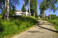 Vlasina