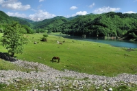 NP Domogled Valea Cernei